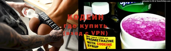 сатива Новозыбков