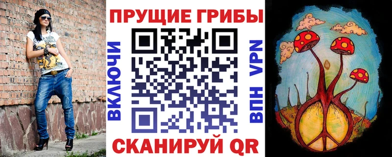 Псилоцибиновые грибы Cubensis  Фрязино 